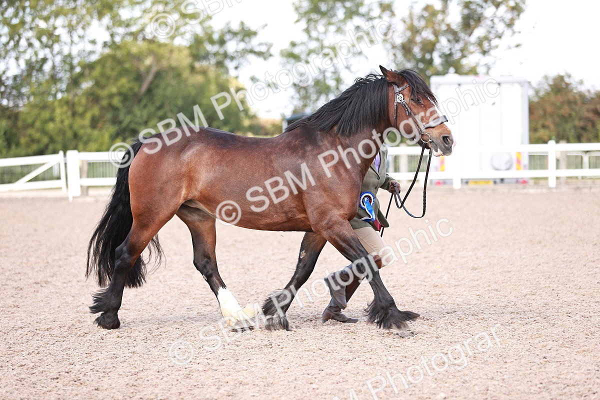 SBM_22930 - Class 706 - IH Veteran
