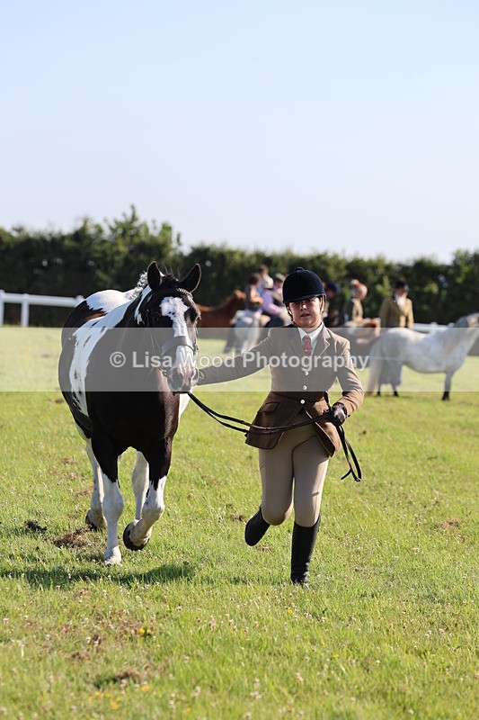 IMG_1402 - Class 28: Ridden Plaited Coloured Pony