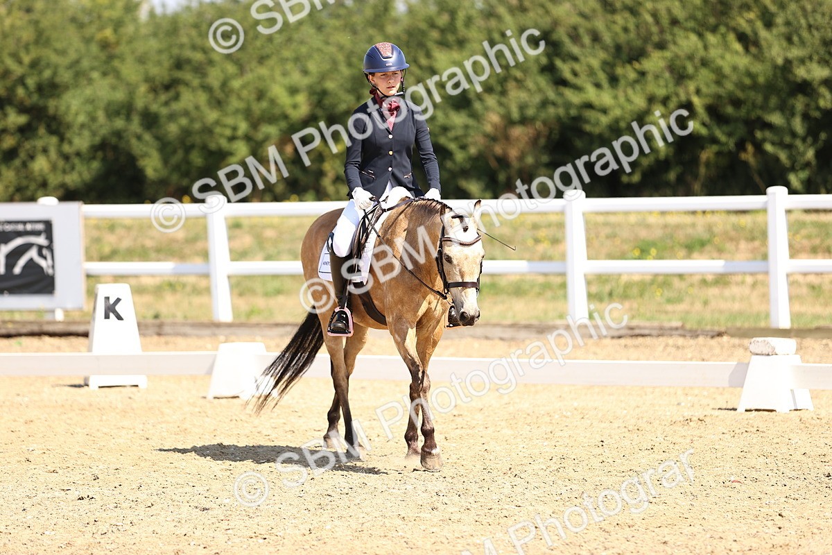 SBM_003590 - Intro 2