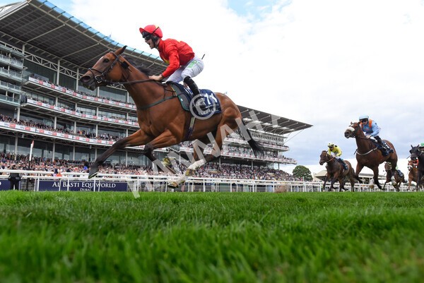 yr19082022r4-79 - Race 4 3.35pm Coolmore Wootton Bassett Nunthorpe Stakes (British Champion Series Race)