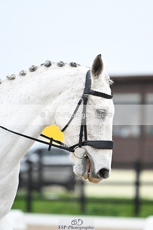 241103-091443-00136 - Intro 3 - 8.30 to 9.30