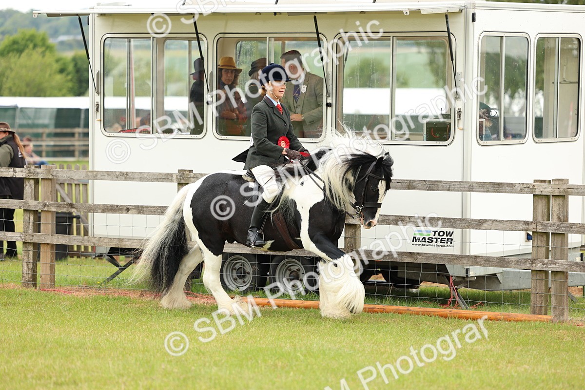 SBM_06261 - Class 39-41 TGCA In Hand and Ridden