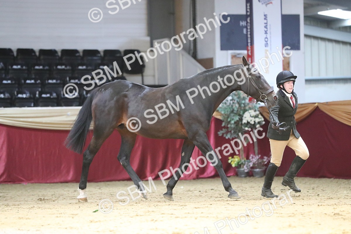 SBM_04368 - Class 7R Regional - IH Diamond