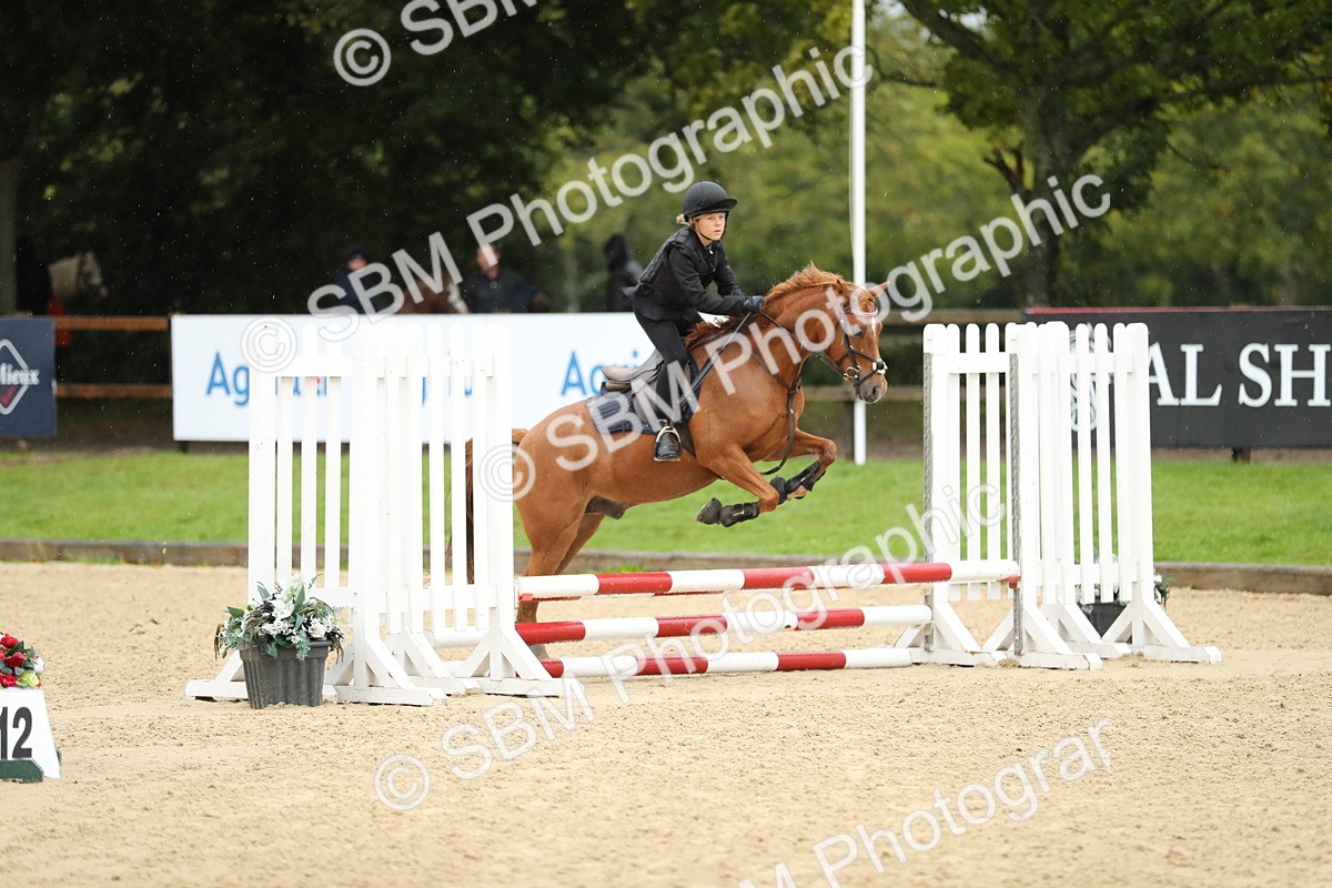 SBM_34396 - J60 Clear Round 50cm