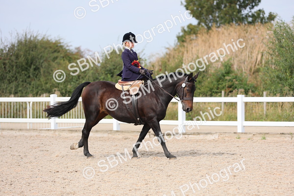 SBM_14640 - Class 211 Best Side Saddle Horse/Pony
