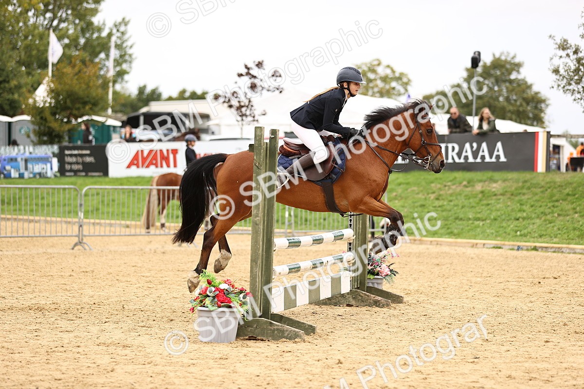 SBM_64736 - J17 - Junior Pony 80cm Championship