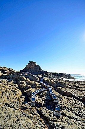  - STILL LIFE IN LANDSCAPE II