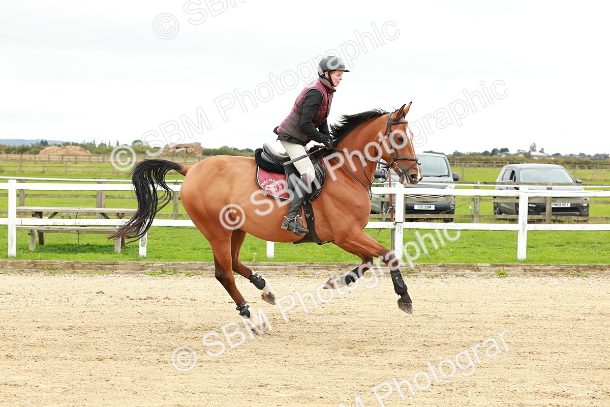 1I0A6758 - Class 2 - Senior British Novice