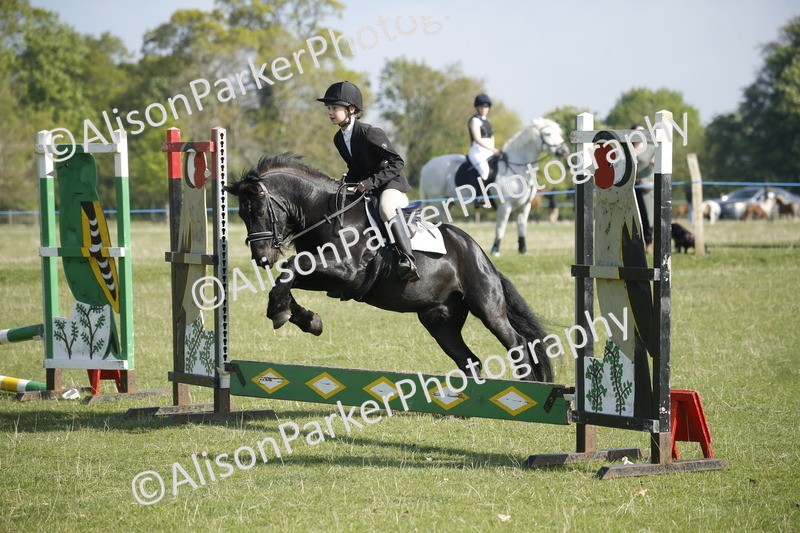 20250427-0324 - Class 12 - Rookie Jumping 40cm