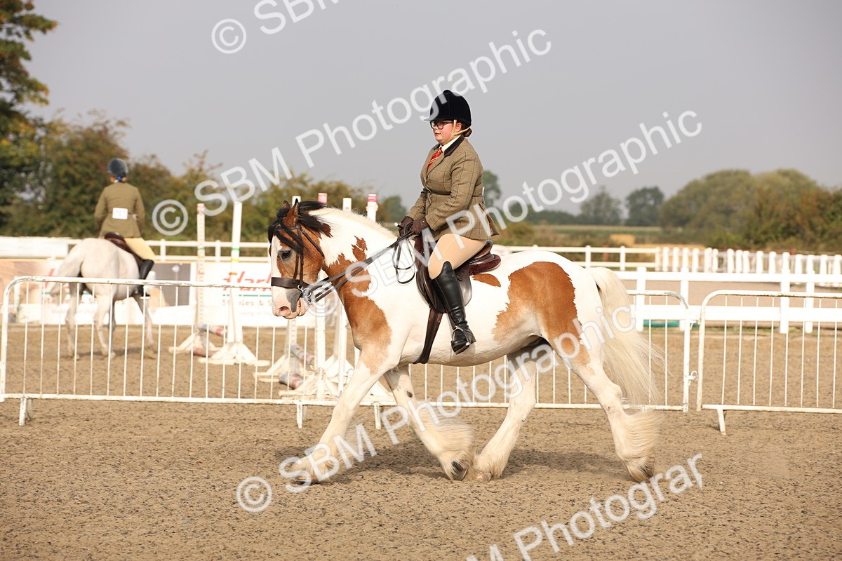 SBM_10267 - Class 402 Riding Club Horse