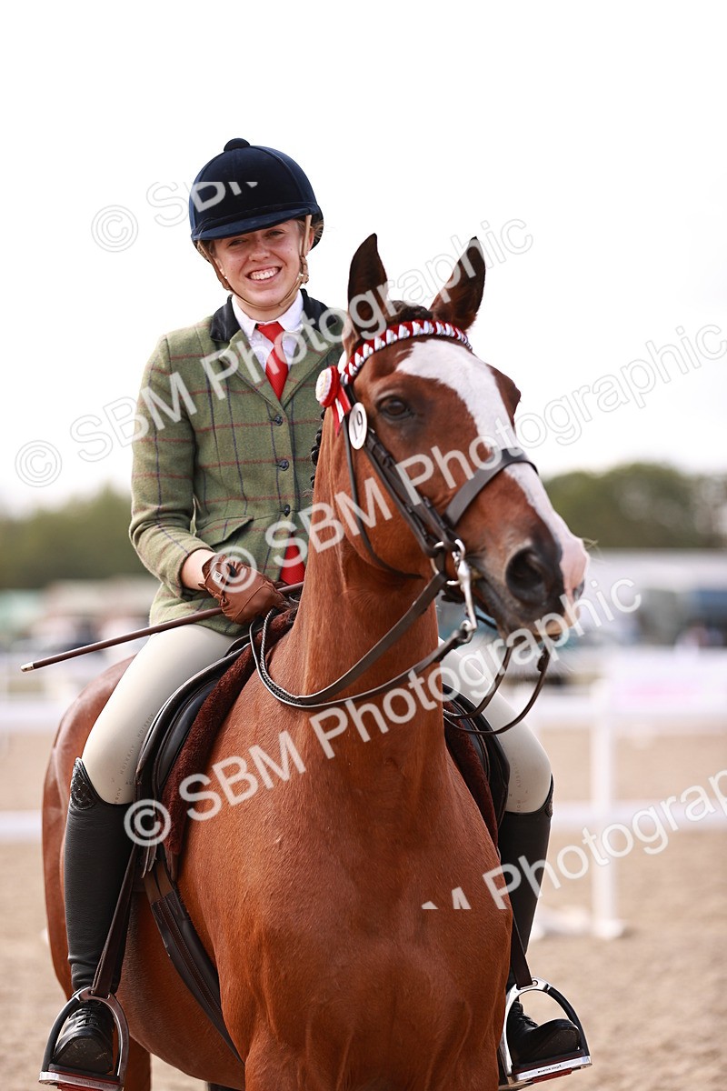 SBM_14486 - Class 410 - Grassroots Ridden - Horse