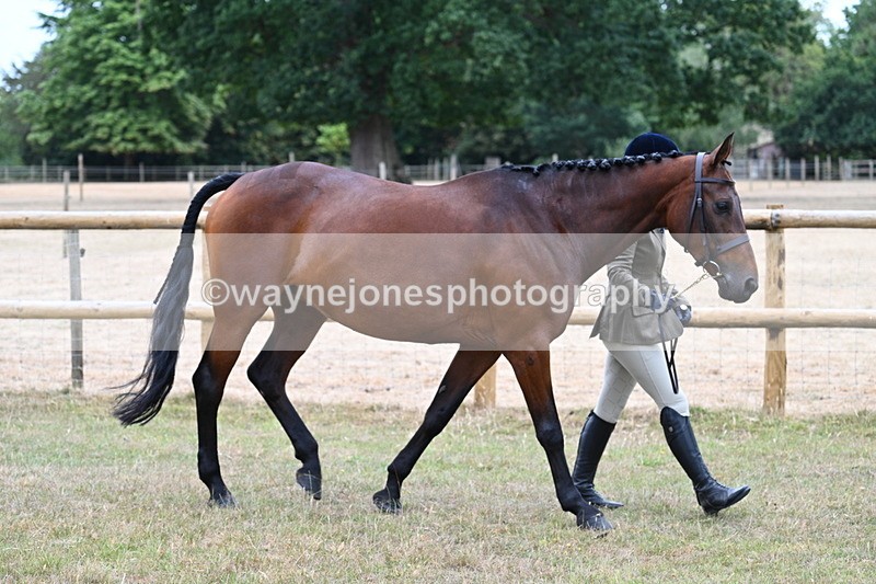 WJ7_8969 - Class 4a Prettiest Mare 14.2hh and over