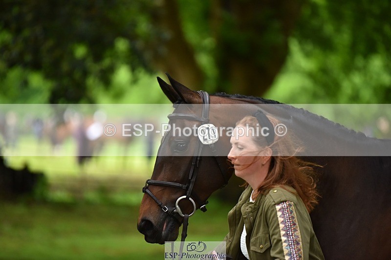 240522-170016-01318 - 271-WILD_ATLANTIC_WAY-Susie_Berry