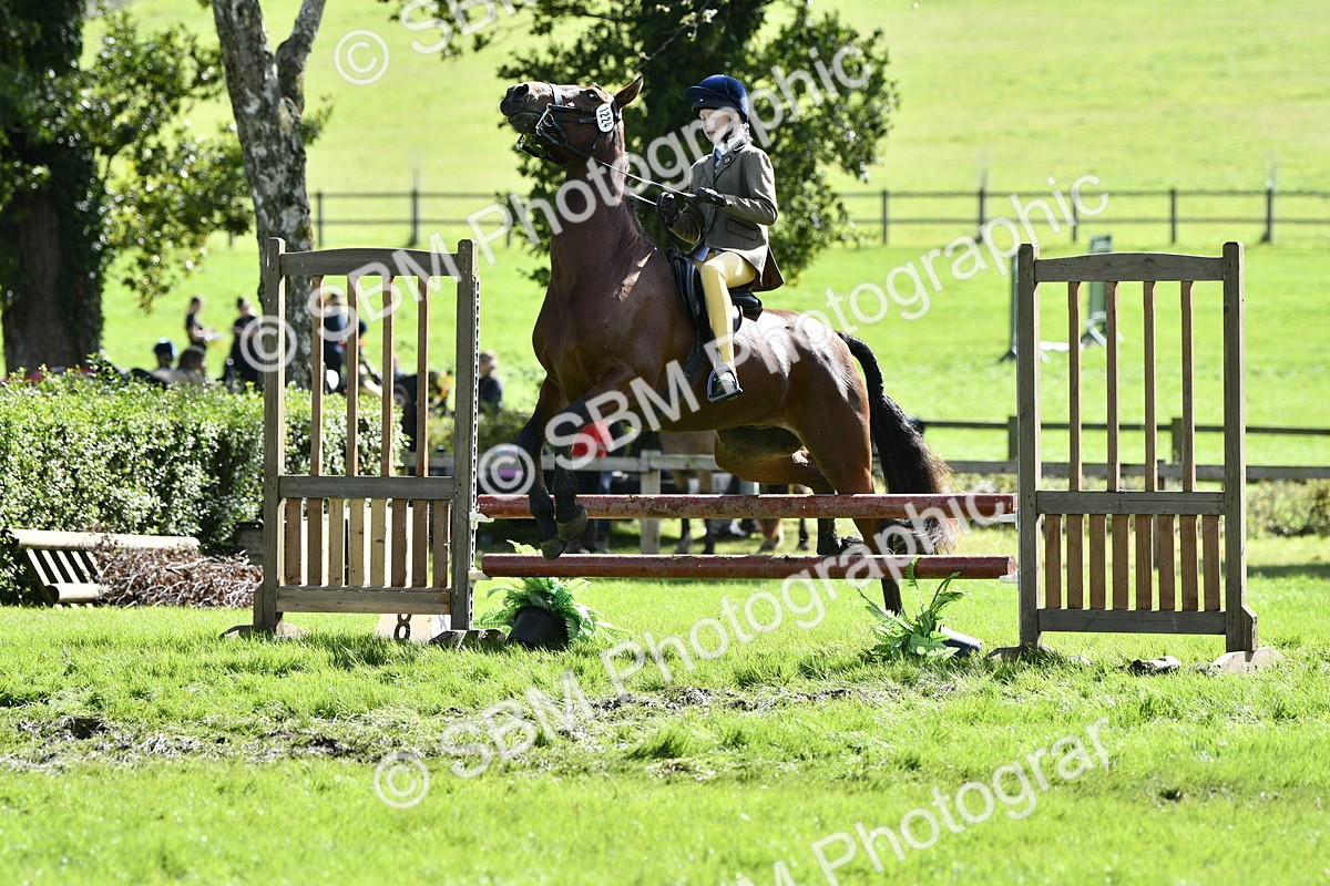 SBM_45712 - S33 - Working Hunter Pony