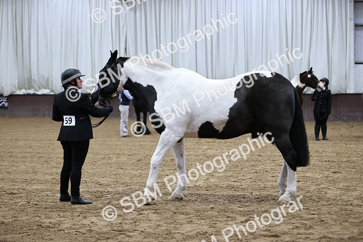 SBM_5275 - Class 32 - In Hand Cob Type