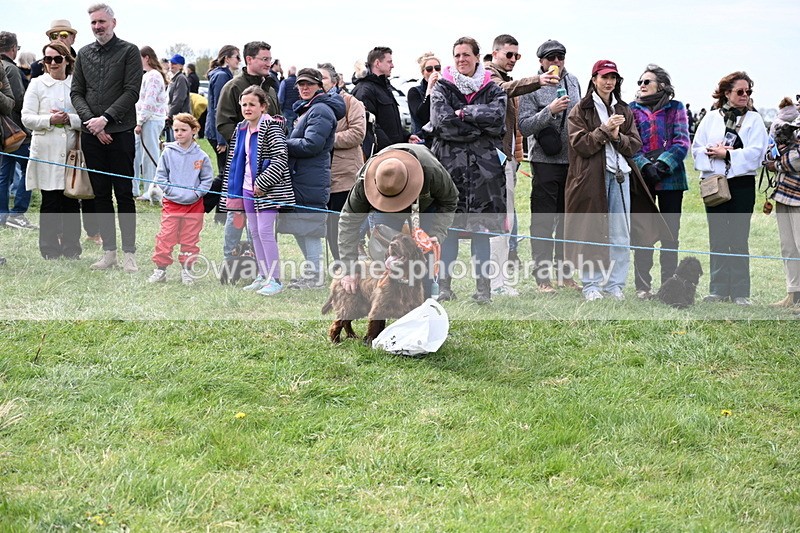 WJ6_8633 - Class 6 Best Rescue