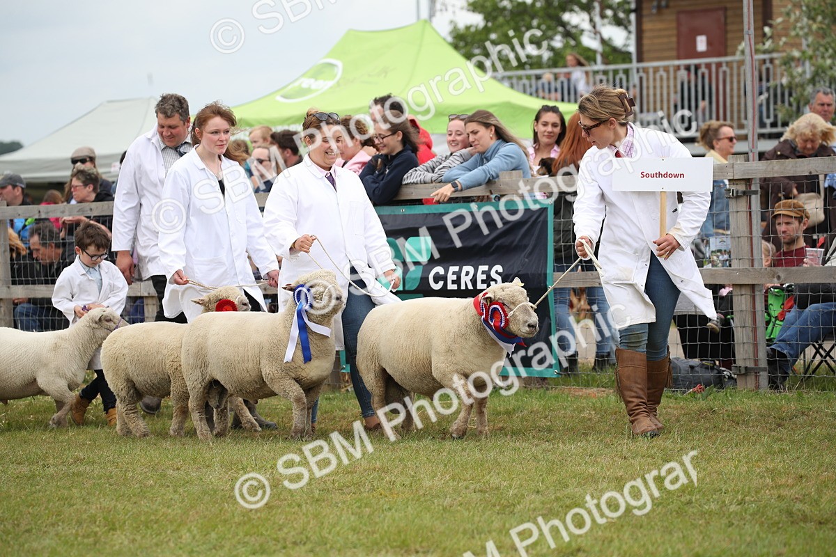 SBM_07796 - Grand Parade