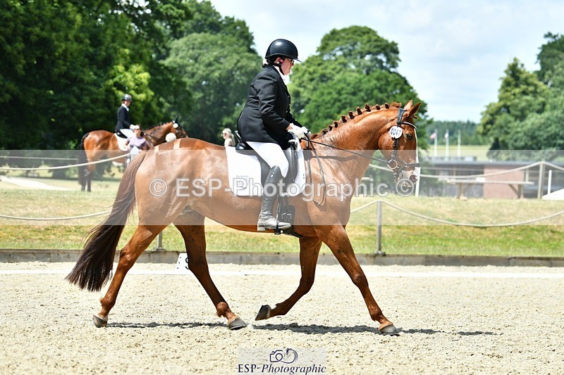 230623-125213-02279 - Cls 4 Novice 37Q 12.45 to End