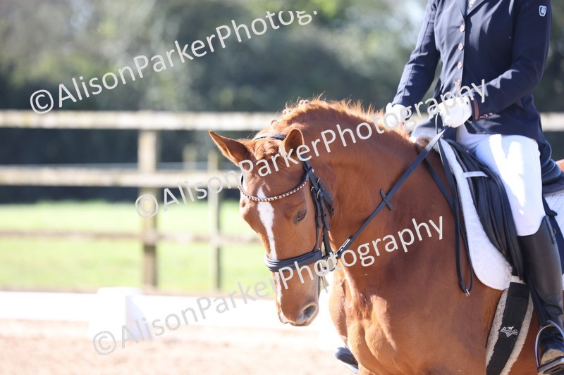 20260318-0169 - Class 2 - Intro 4