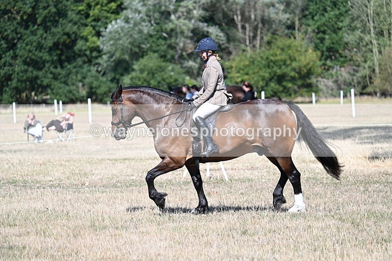 WJ7_3914 - Class 9 Mountain & Moorland Ridden