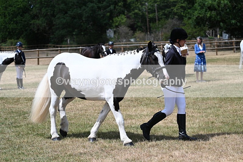 WJ7_1734 - Class 4 Prettiest Mare up to 14.2hh in hand
