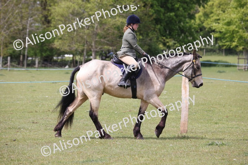 20260426-4302 - Class 34 - Best Riding Horse Over 14.2hh