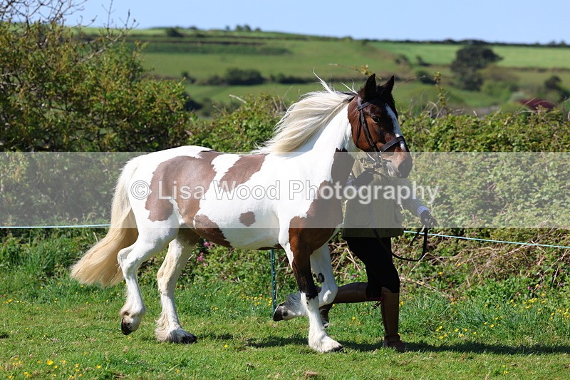 3E7A9351 - Class 16: Best Grass Kept