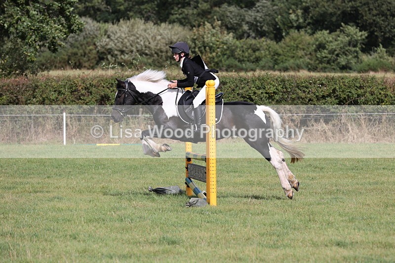 JPP_8631 - Class 2: Trekenning: 80cm Showjumping