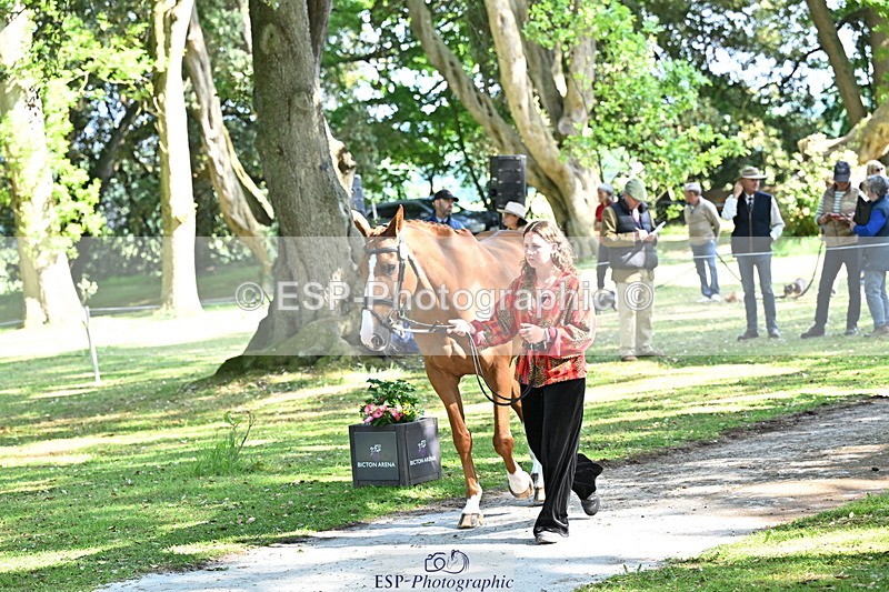 250521A-162214-01092 - C-217-Polly.Kilgour-RENKUM.LADY.VOS