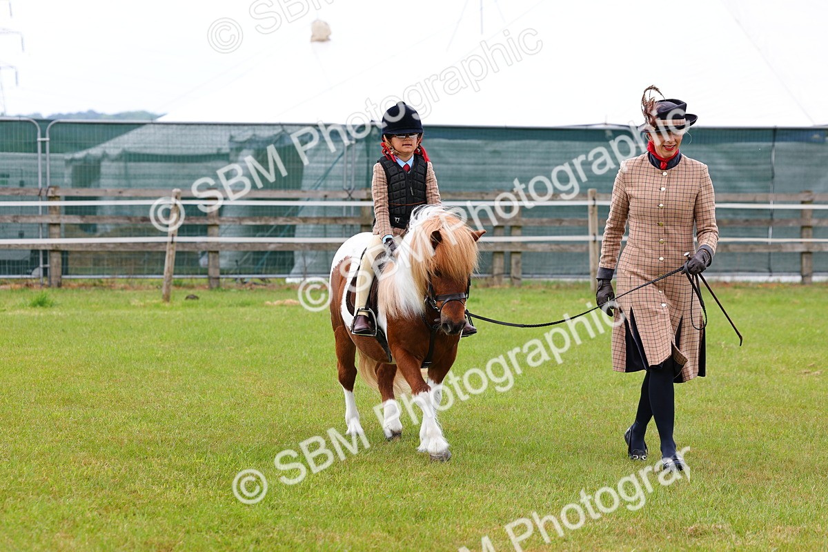 SBM_08246 - Class 42-43 - LIHS BSPS Heritage Working Sports Pony