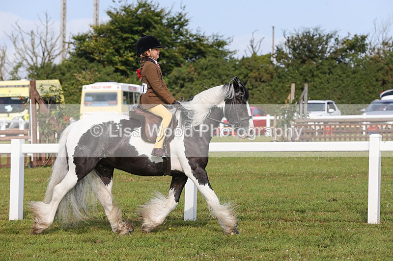 1X9A3201 - Class 28: Ridden Native/Trad Coloured Pony