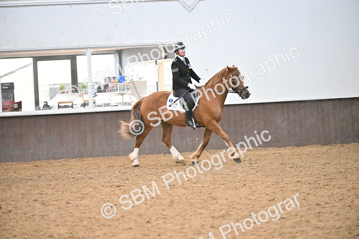 SBM_002959 - Class 37,38 - UKPSAF Performance Horse & Pony
