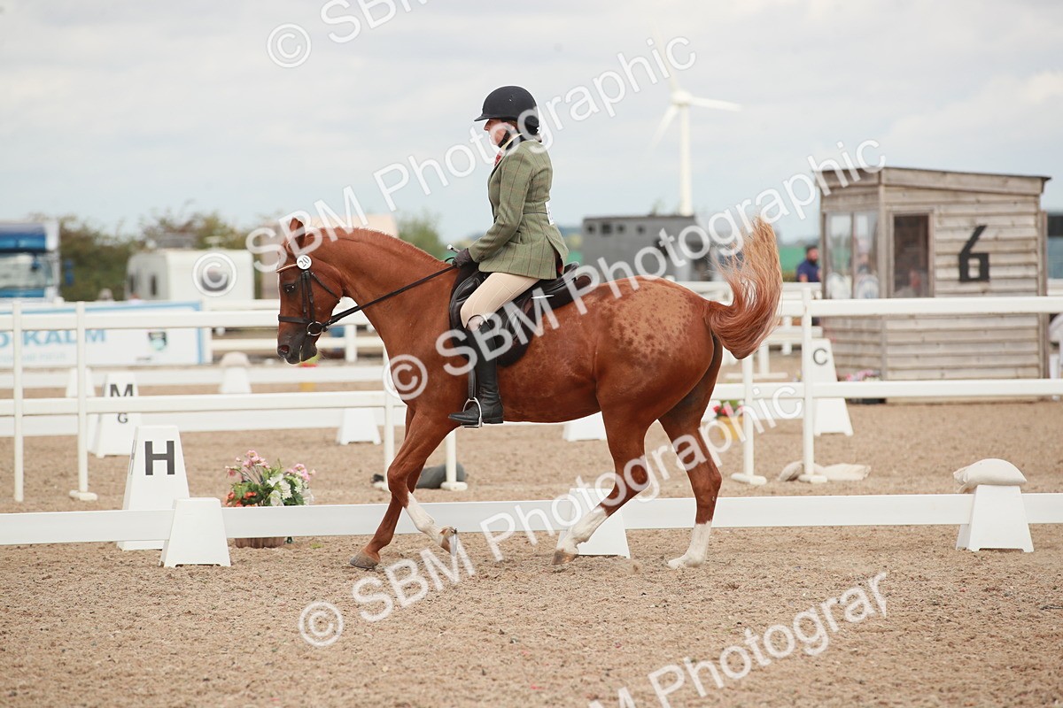 SBM_06001 - Class 32 - Novice 1