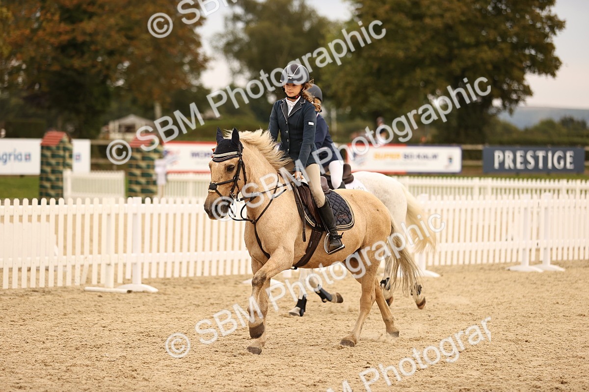 SBM_74512 - J14 - Junior Pony 65cm Championship