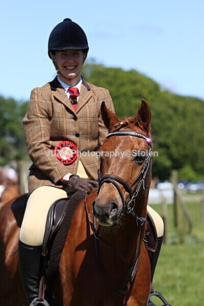 IMG_3926 - Working Hunter
