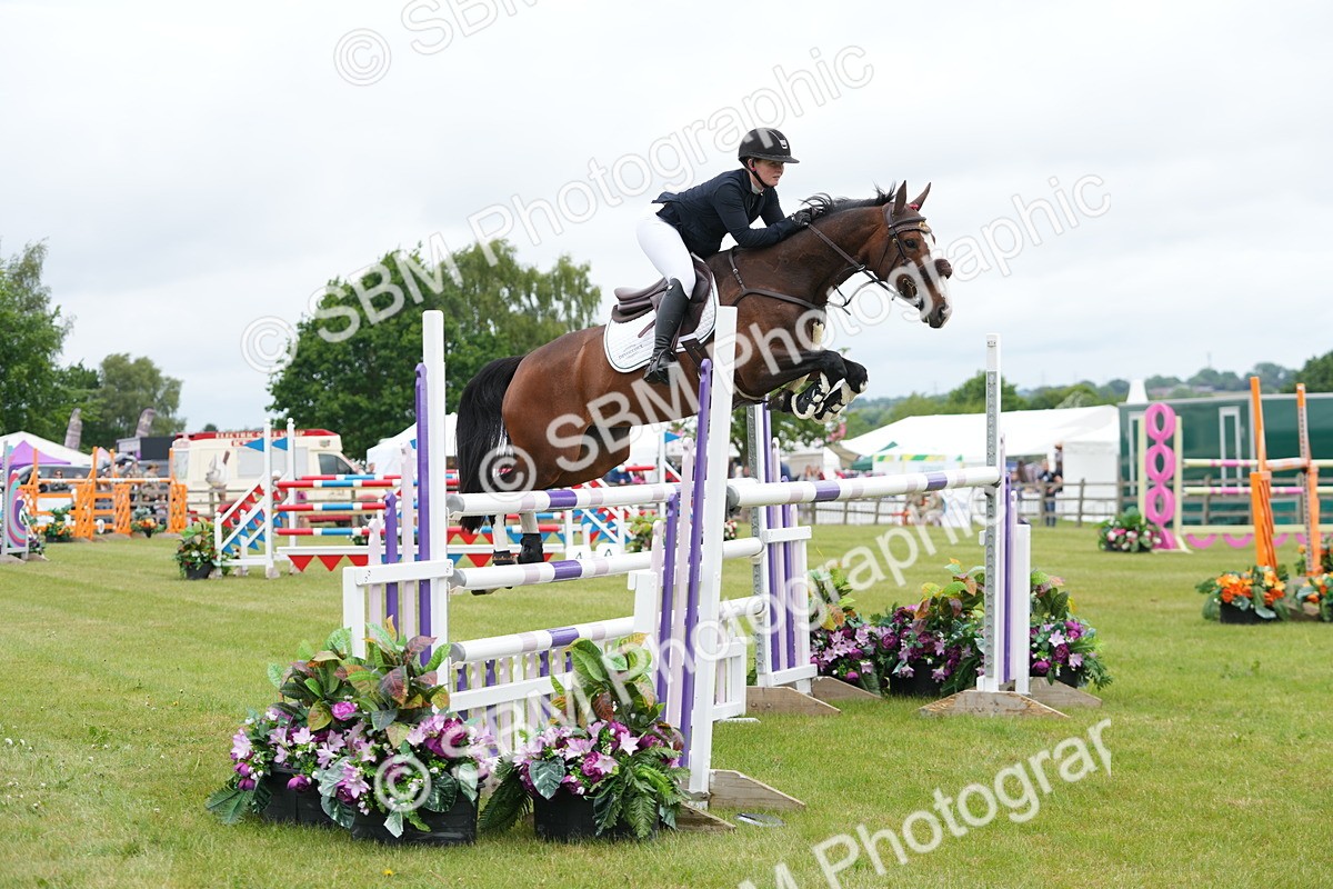 SBM_03151 - Class 201 - British Horse Feeds Speedi Beet Horse of the Year Show Grade  C