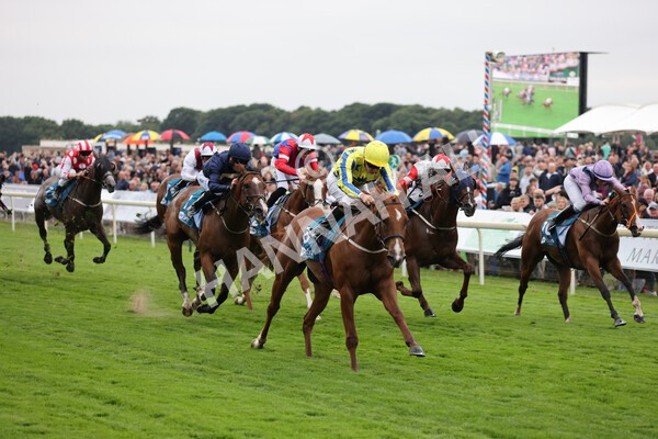 yr22072022r3-50 - Race 3 6.20pm Tomahawk Stakes