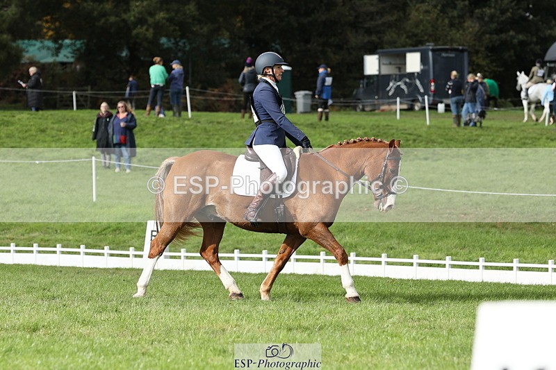 251024A-134733-12658 - H-654-Philippa.Skelton