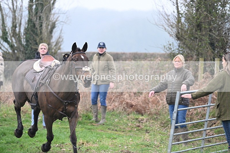 WJ7_0438 - Line 2 cam A