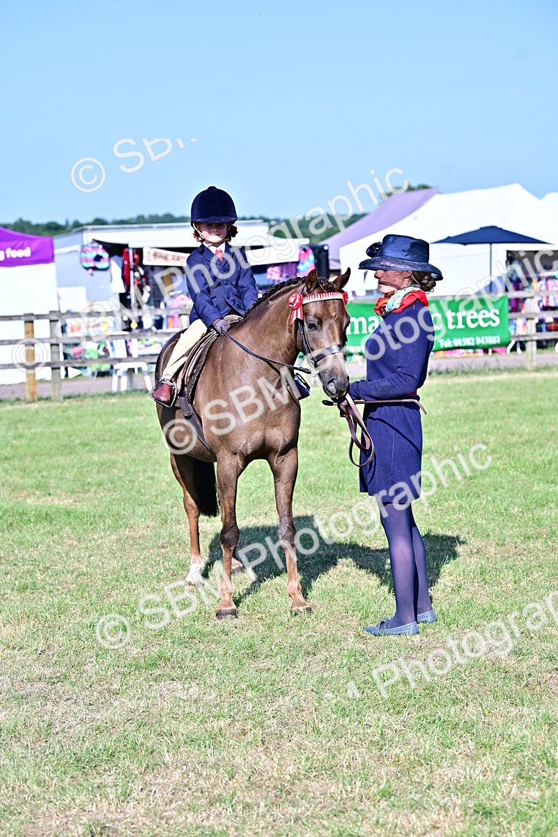 SBM_19820 - Class 103 - 105 - TSR Ridden Amateur of the Year Plaited Ponies