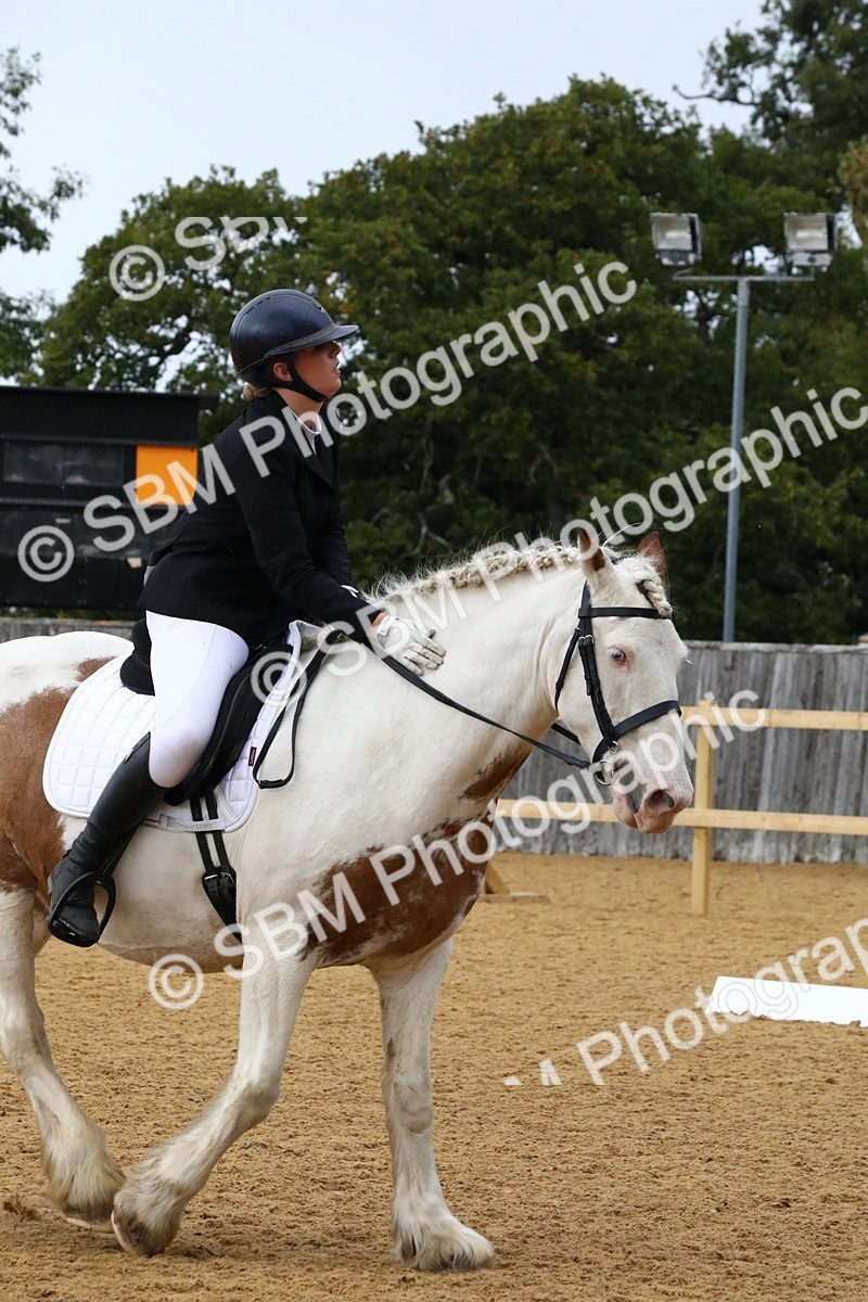 SBM_21004 - D5 - Small Tour Championshop Intro 2