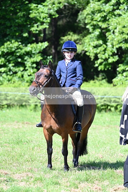 WJ7_0421 - Class 8 First Rally Pony