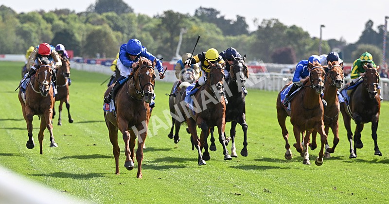 220826-059 Notable Speech - Race 3 15.00pm Sky Bet City Of York Stakes