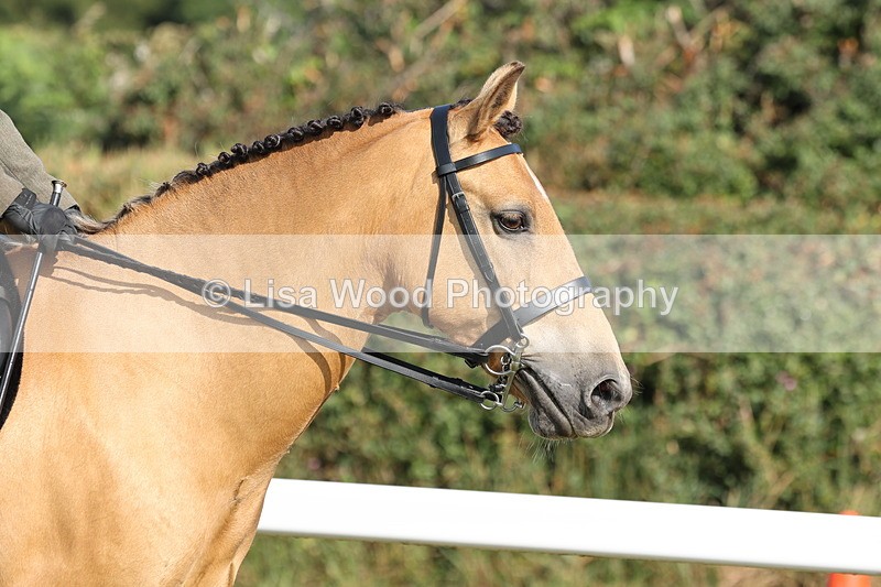 JPP_0619 - Class 16: Cornish Combination Young Rider