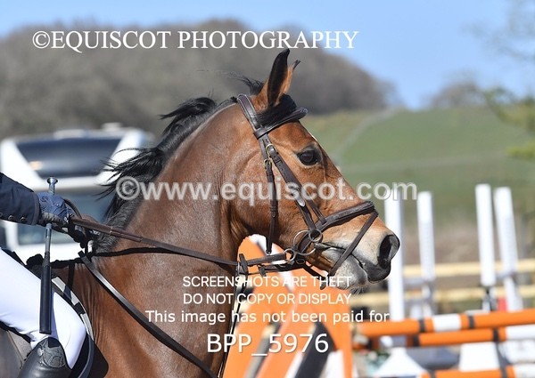 BPP_5976 - CLASS 4 SAt Blue Chip Pony Newcomers/ 1m Open