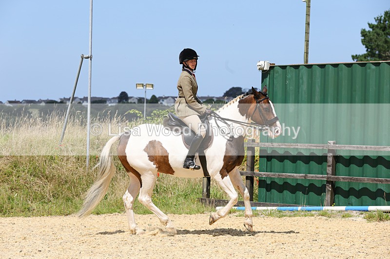 1X9A8792 - Class 19: Riding Club Horse