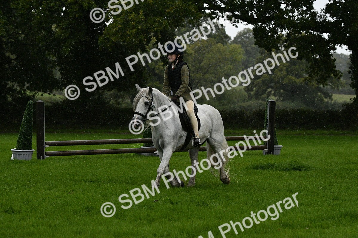 SBM_37110 - S31 - Novice & Newcomer Working Hunter Pony