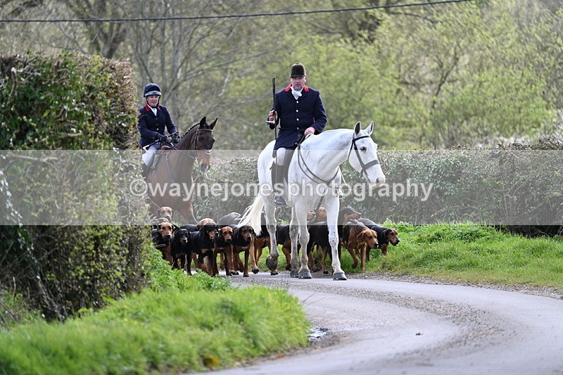 WJ7_9747 - Walk Home