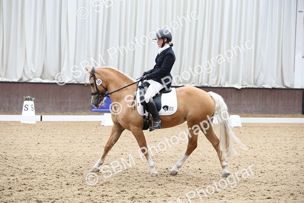 SBM_007555 - Class 23 - Medium FSM Bronze