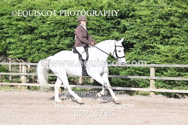 BPP_6786 - RING 1  (RIDDEN HORSES / IN HAND / VETERAN ETC)